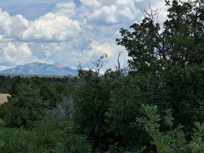 For Sale in Hesperus, CO! - image 5