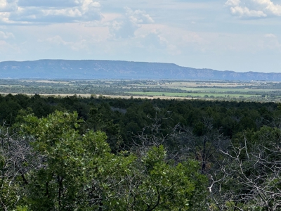 For Sale in Hesperus, CO! - image 7