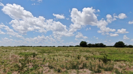 Prime 37-Acre Tract - Development Ready - image 16
