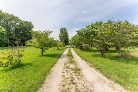 Country Home and Acreage in Willow Springs Missouri - image 39