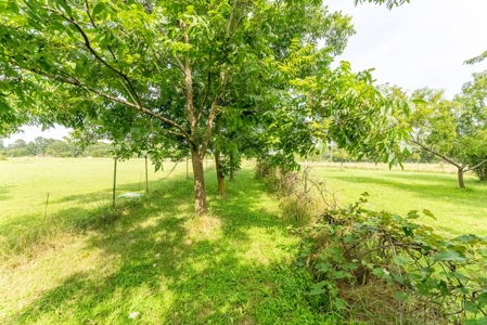 Country Home and Acreage in Willow Springs Missouri - image 34