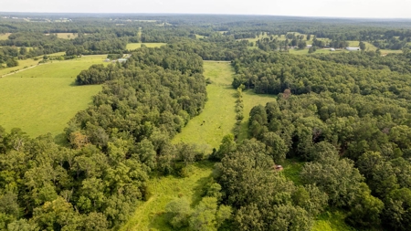 Country Home and Acreage in Willow Springs Missouri - image 48