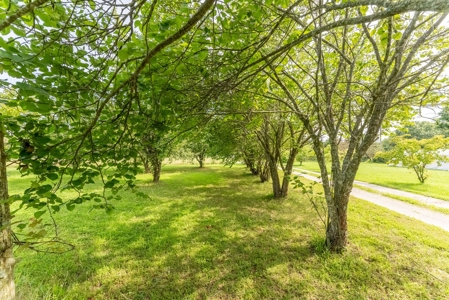 Country Home and Acreage in Willow Springs Missouri - image 35