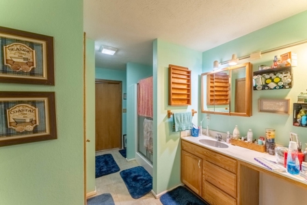 Country Home and Acreage in Willow Springs Missouri - image 17