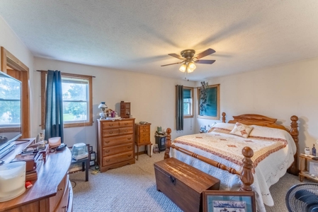 Country Home and Acreage in Willow Springs Missouri - image 18
