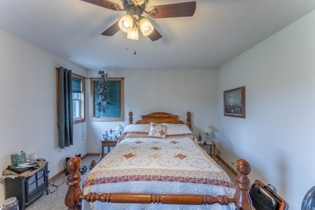 Country Home and Acreage in Willow Springs Missouri - image 19