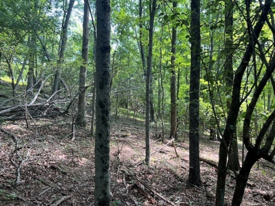 Building Site for Sale in Pilot VA - image 15