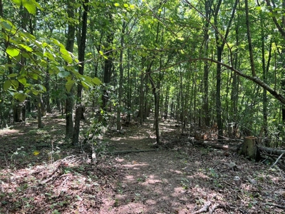 Building Site for Sale in Pilot VA - image 19
