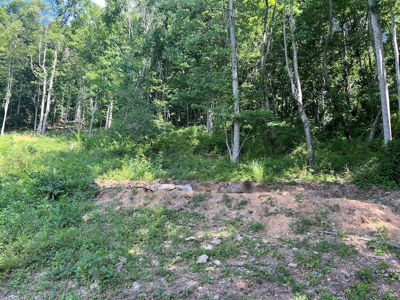 Building Site for Sale in Pilot VA - image 5