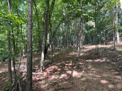 Building Site for Sale in Pilot VA - image 13