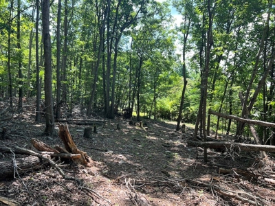 Building Site for Sale in Pilot VA - image 31