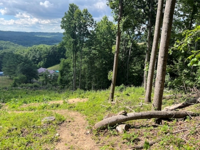 Building Site for Sale in Pilot VA - image 9