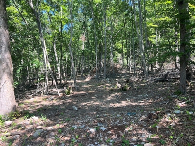Building Site for Sale in Pilot VA - image 29