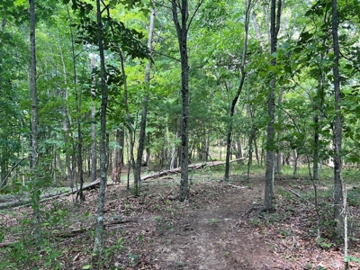 Building Site for Sale in Pilot VA - image 20