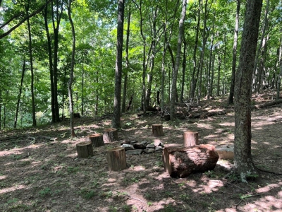 Building Site for Sale in Pilot VA - image 16