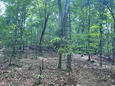 Building Site for Sale in Pilot VA - image 21