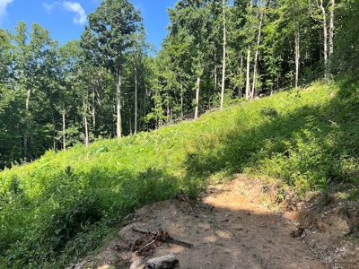 Building Site for Sale in Pilot VA - image 3