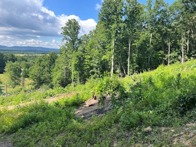 Building Site for Sale in Pilot VA - image 4