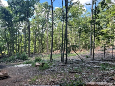 Building Site for Sale in Pilot VA - image 25