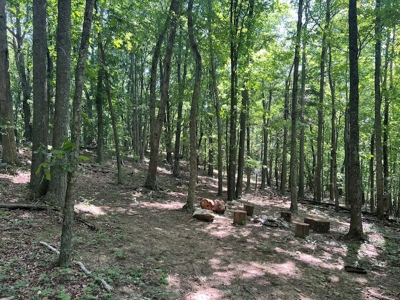 Building Site for Sale in Pilot VA - image 18