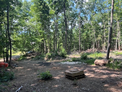 Building Site for Sale in Pilot VA - image 26