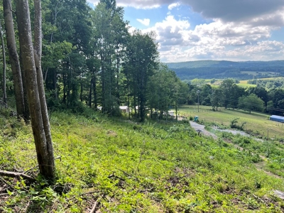 Building Site for Sale in Pilot VA - image 8