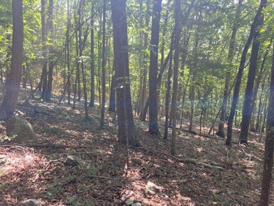 Building Site for Sale in Pilot VA - image 22