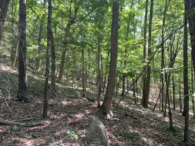 Building Site for Sale in Pilot VA - image 23