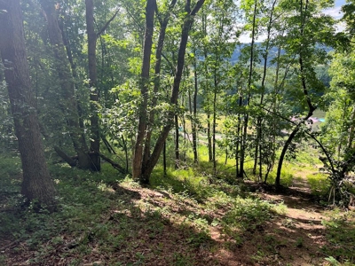 Building Site for Sale in Pilot VA - image 11