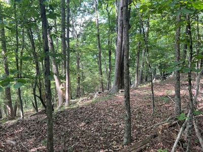 Building Site for Sale in Pilot VA - image 14