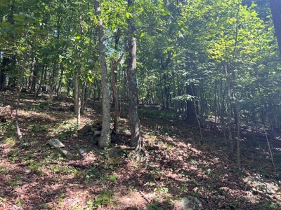 Building Site for Sale in Pilot VA - image 10