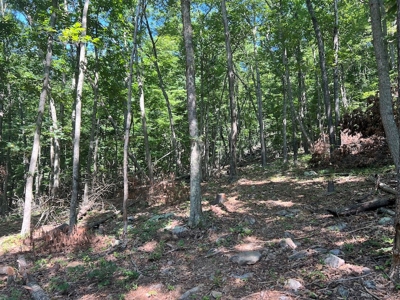 Building Site for Sale in Pilot VA - image 30