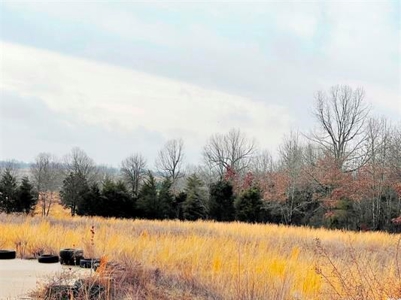 Commercial buildling and land for sale Highland AR - image 10
