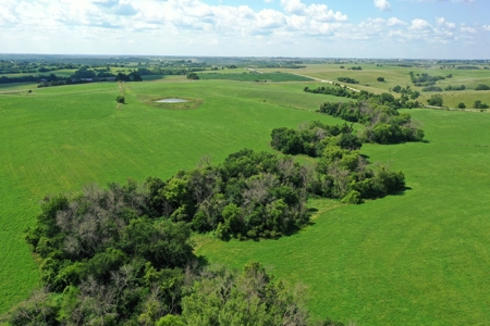 Iowa Land For Sale - image 9