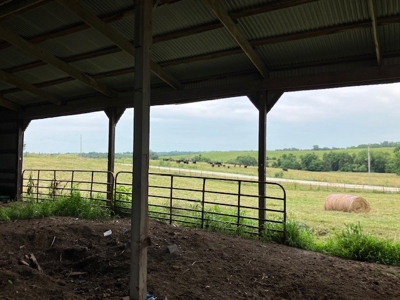 Iowa Land For Sale - image 24