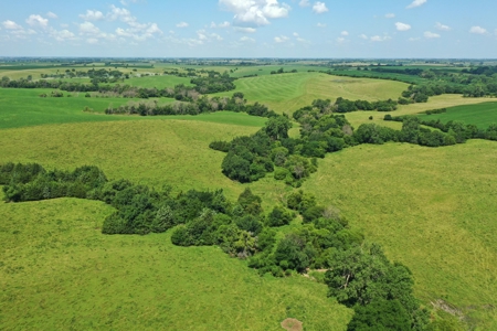 Iowa Land For Sale - image 17