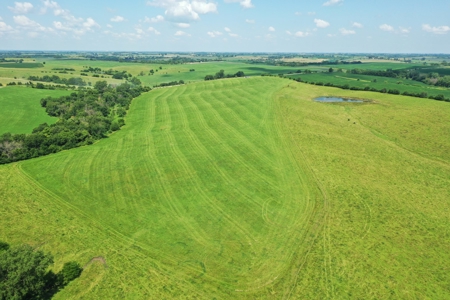 Iowa Land For Sale - image 12