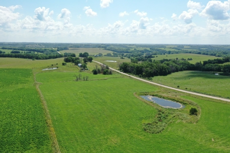 Iowa Land For Sale - image 8