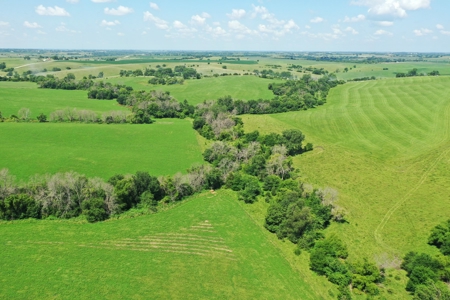 Iowa Land For Sale - image 14