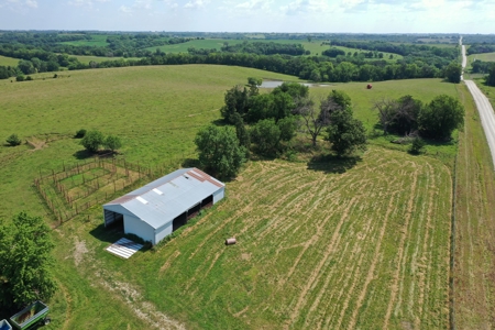 Iowa Land For Sale - image 6