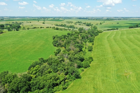 Iowa Land For Sale - image 11