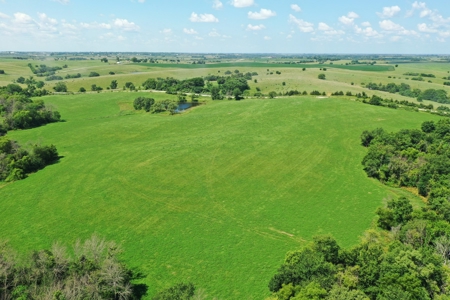 Iowa Land For Sale - image 10