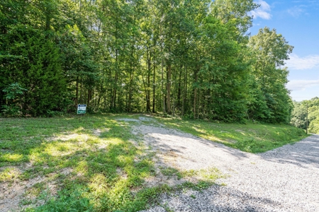 Build Your Dream Home on 12.4 Beautiful Wooded Acres - image 15