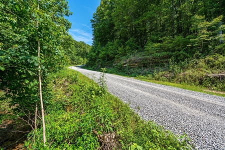Build Your Dream Home on 12.4 Beautiful Wooded Acres - image 21