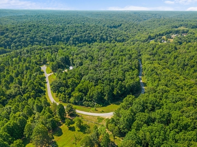 Build Your Dream Home on 12.4 Beautiful Wooded Acres - image 5