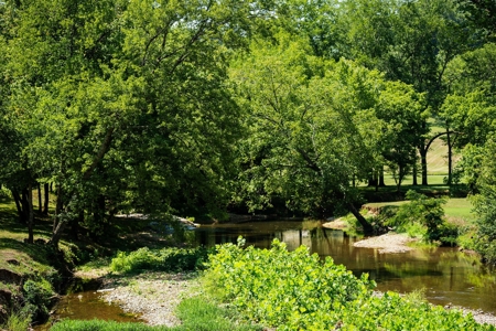 Build Your Dream Home on 12.4 Beautiful Wooded Acres - image 25
