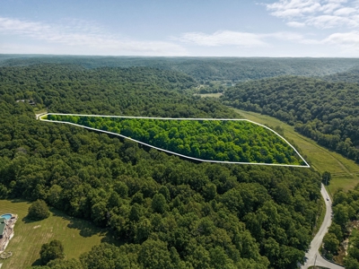 Build Your Dream Home on 12.4 Beautiful Wooded Acres - image 2