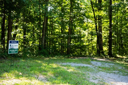 Build Your Dream Home on 12.4 Beautiful Wooded Acres - image 17
