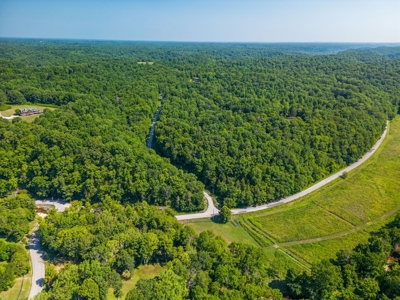 Build Your Dream Home on 12.4 Beautiful Wooded Acres - image 6