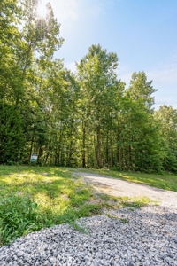 Build Your Dream Home on 12.4 Beautiful Wooded Acres - image 16